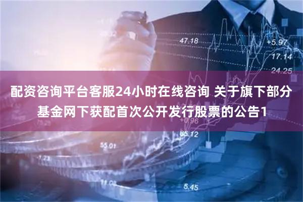 配资咨询平台客服24小时在线咨询 关于旗下部分基金网下获配首次公开发行股票的公告1