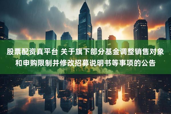 股票配资真平台 关于旗下部分基金调整销售对象和申购限制并修改招募说明书等事项的公告