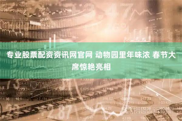 专业股票配资资讯网官网 动物园里年味浓 春节大席惊艳亮相
