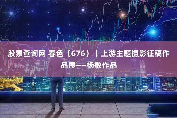 股票查询网 春色（676）｜上游主题摄影征稿作品展——杨敏作品
